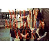 Lamb Of God